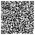 QR code with Dawn M Toboika contacts