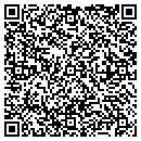 QR code with Baisys Consulting LLC contacts