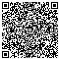 QR code with Studio contacts