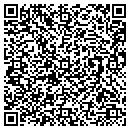 QR code with Public Works contacts