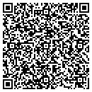 QR code with Chemung Abstract Corp contacts
