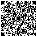 QR code with Public Storage contacts