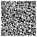 QR code with Precision Work Inc contacts