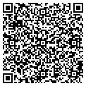 QR code with Cmsa contacts