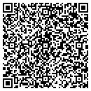 QR code with Precision Stone contacts