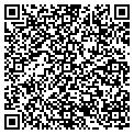 QR code with T & Y Co contacts