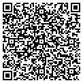 QR code with Curves contacts