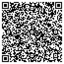 QR code with Pudgie's Pizza contacts