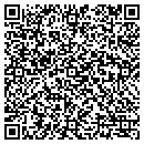 QR code with Cochecton Town Hall contacts