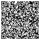 QR code with Premiere Flooring Inc contacts