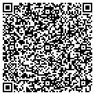 QR code with Blitwise Productions LLC contacts