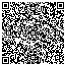 QR code with Celerity Group contacts