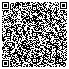QR code with Blimpie Subs & Salads contacts