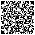 QR code with M Gelb contacts