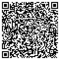 QR code with Pines contacts