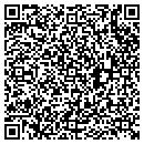 QR code with Carl F Stelman DDS contacts