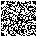 QR code with Capitol District Dso contacts