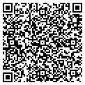 QR code with Divino contacts