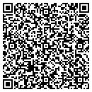 QR code with Chessfield Farm Inc contacts