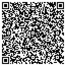 QR code with Public Storage contacts