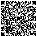 QR code with Prism Electronics Inc contacts