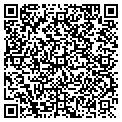 QR code with City Newsstand Inc contacts