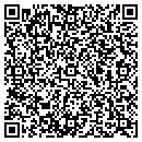 QR code with Cynthia M Ferguson CPA contacts