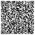 QR code with Blimpie Subs & Salads contacts