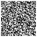 QR code with Public Storage contacts