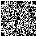 QR code with Chittenango Liquors contacts
