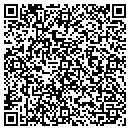QR code with Catskill Dermatology contacts