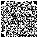 QR code with Promark Electronics contacts