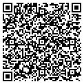 QR code with Cosmic contacts