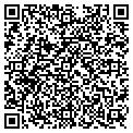 QR code with Wyndis contacts