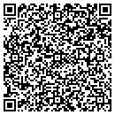 QR code with Precipart Corp contacts