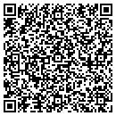 QR code with Cog Data Systems LLC contacts