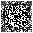 QR code with Chelsea Computer Service contacts