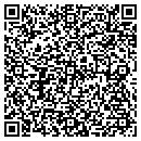 QR code with Carver Digital contacts