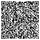 QR code with Carlsons Glassworks contacts