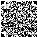 QR code with Carpet Town Carpet One contacts