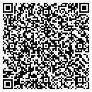 QR code with Catskill Town Offices contacts