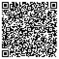 QR code with Bavisoft contacts