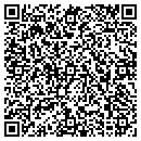 QR code with Capriotto & Sons Inc contacts