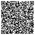 QR code with Avm LLC contacts