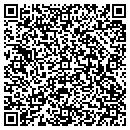 QR code with Carasel Website Services contacts