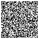 QR code with Chapin Mfg Works Inc contacts