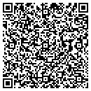 QR code with Public Works contacts