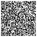 QR code with Public Abstract Corp contacts