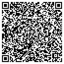 QR code with Cyber Edge Solutions contacts