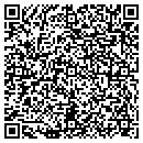 QR code with Public Storage contacts